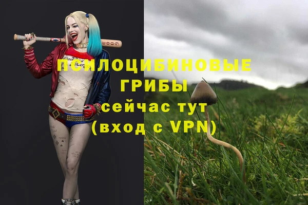 спиды Балахна