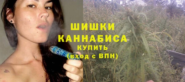 ГАЛЛЮЦИНОГЕННЫЕ ГРИБЫ Баксан
